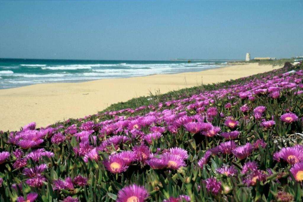 Albayalde Cielo Y Mar Lägenhet Vejer de la Frontera Exteriör bild